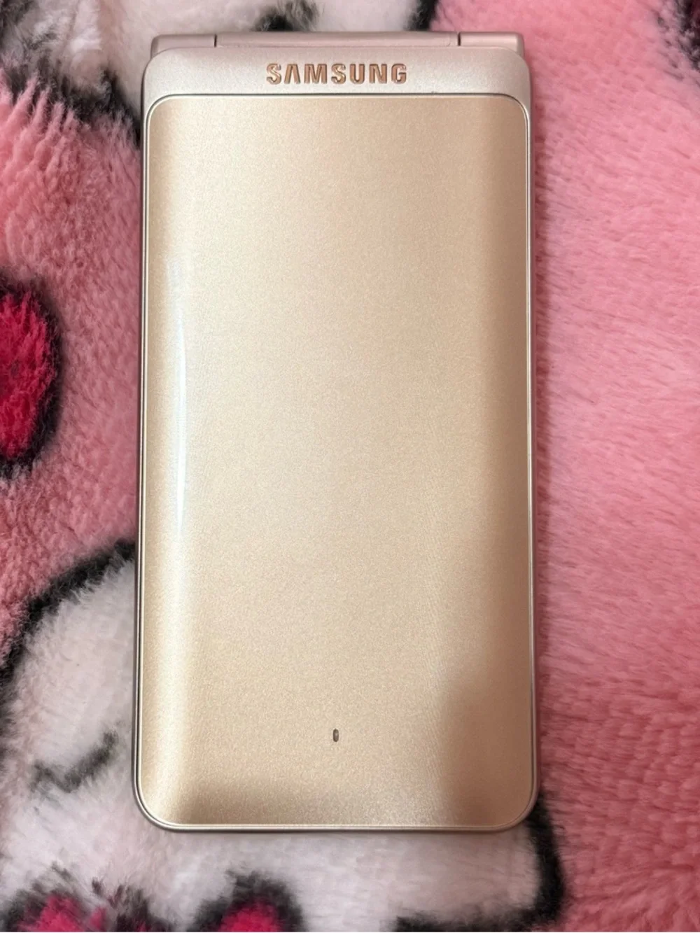 Samsung Y2K Flip Phone